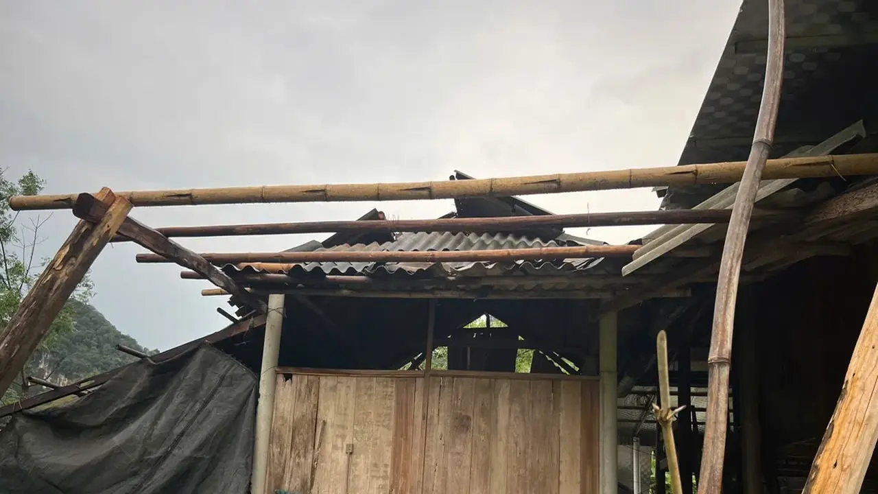 خطط الاستجابة الاستباقية للكوارث الطبيعية خلال عطلة 30 أبريل في فيتنام